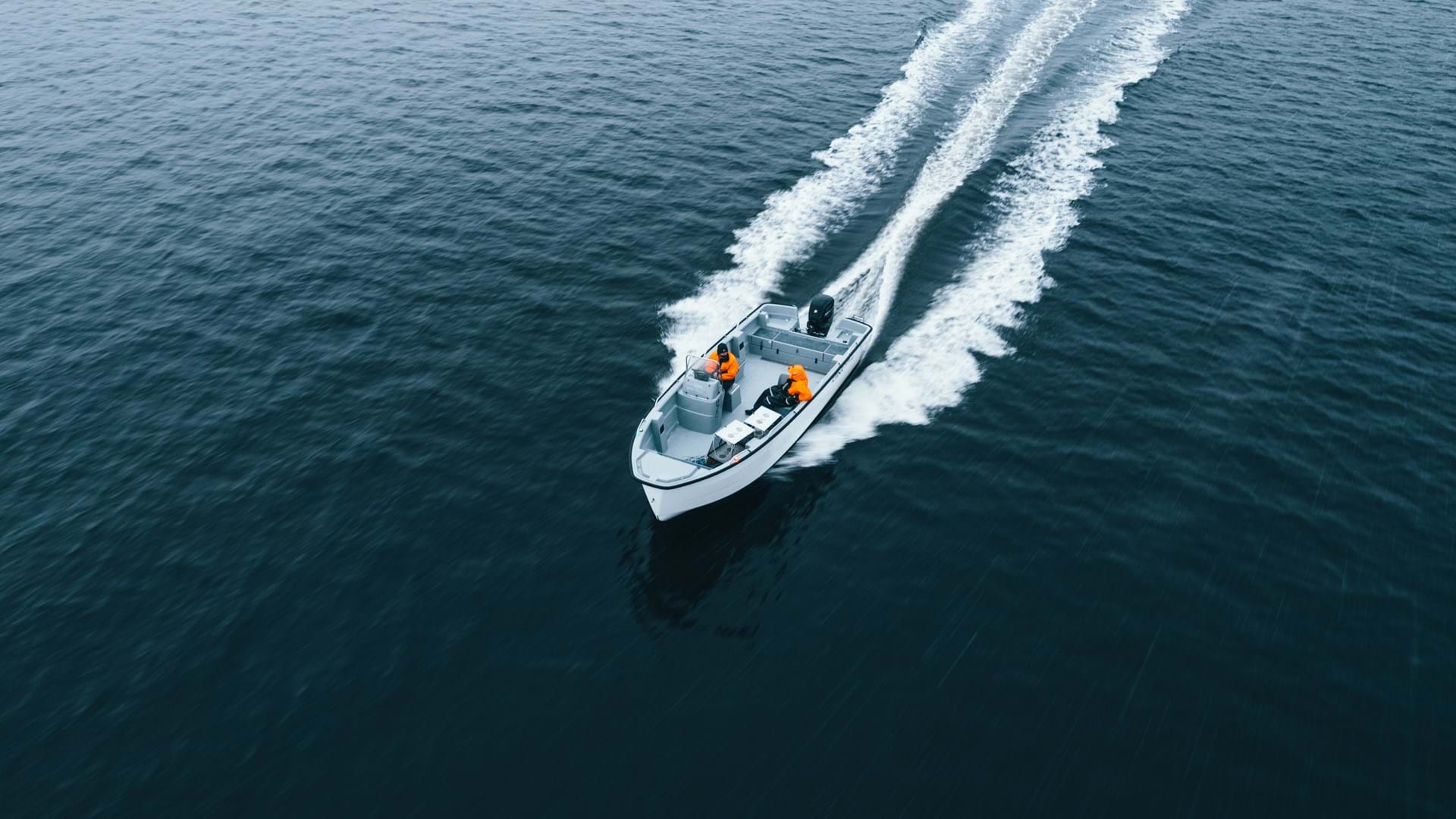 DJI 0206